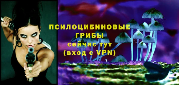 PSILOCYBIN Алексеевка