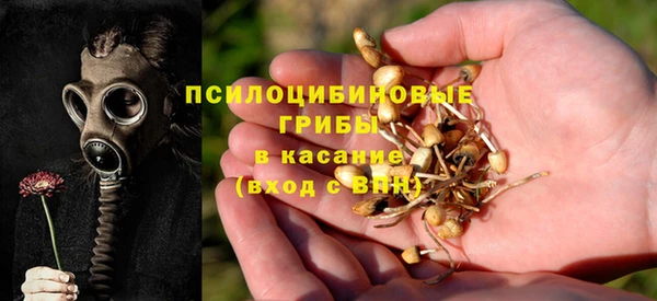 каннабис Алексин
