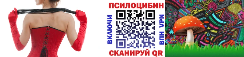 Купить закладки  Владикавказ  Псилоцибиновые грибы Psilocybe 